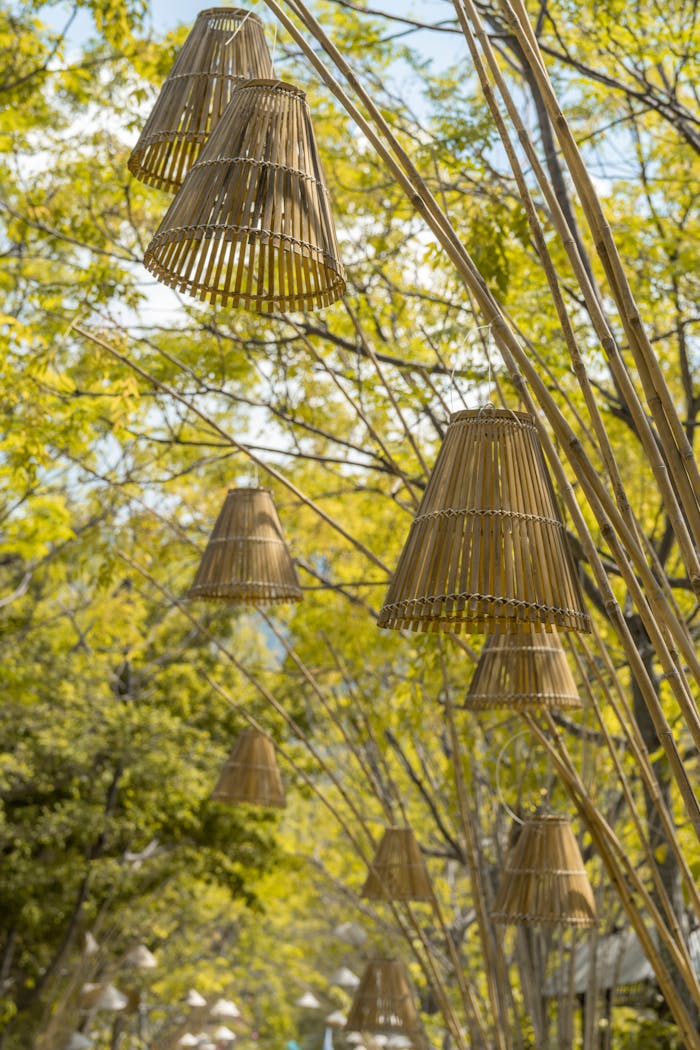 Artistic bamboo lanterns hanging amidst lush trees, capturing a peaceful outdoor scene in spring.