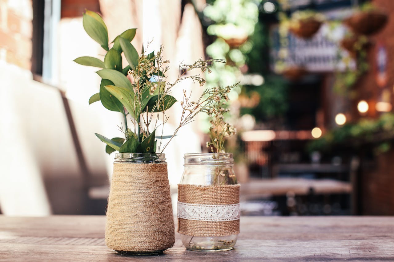 Green plants with lush leaves in glass vases decorated with rope placed on wooden table in modern cafeteria on blurred background
